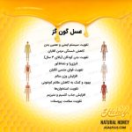 عسل گون گز - Image 5