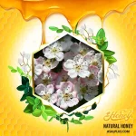 عسل زالزالک - Image 2