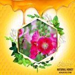 عسل گل ختمی - Image 2