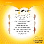 عسل نمدار/ عسل زیرفون - تصویر 7