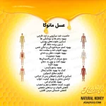 عسل مانوکا - Image 5