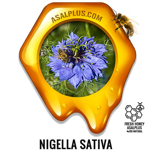 عسل-سیاهدانه-nigella-sativa-honey-عسل-پلاس