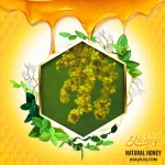 عسل بلوط ایرانی - Image 2