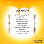 عسل بلوط ایرانی - Image 5