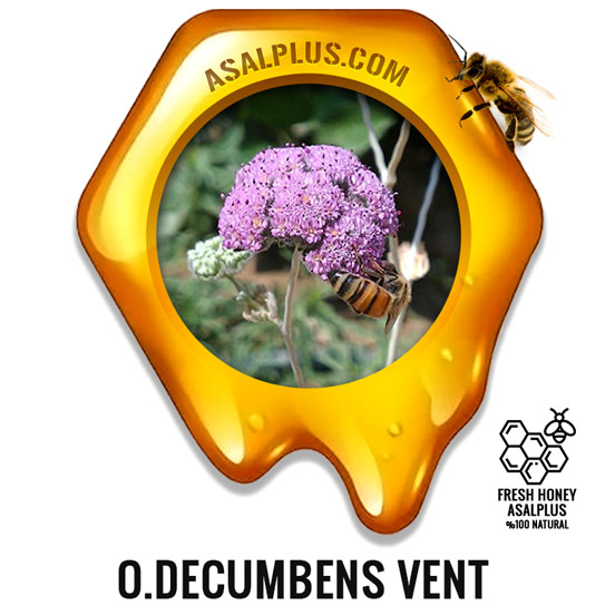 عسل-مشکورک-Oliveria-decumbens-Vent-honey