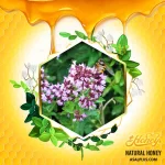 عسل پونه کوهی