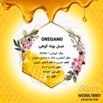 عسل پونه کوهی - Image 4