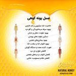 عسل پونه کوهی - Image 5