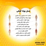 عسل پونه کوهی - Image 4