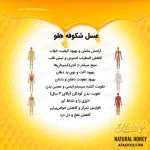 عسل شکوفه هلو - Image 5