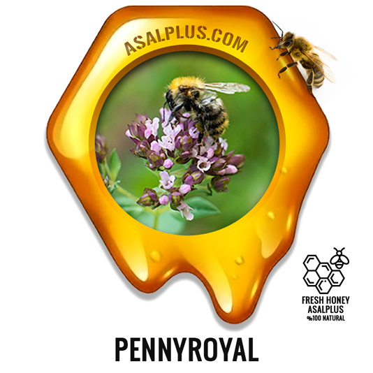 عسل-پونه-pennyroyal-honey-عسل-پلاس