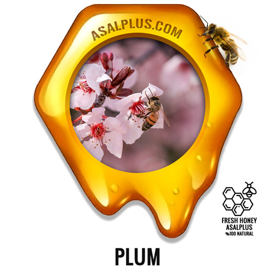 عسل-آلو-plum-honey-عسل-پلاس