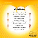 عسل شکوفه آلو - Image 5
