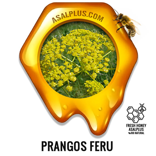 عسل-جاوشیر-prangos-feru-honey-عسل-پلاس