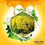 عسل جاشیر - Image 3