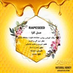 عسل کلزا - Image 4