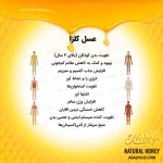 عسل کلزا - Image 5