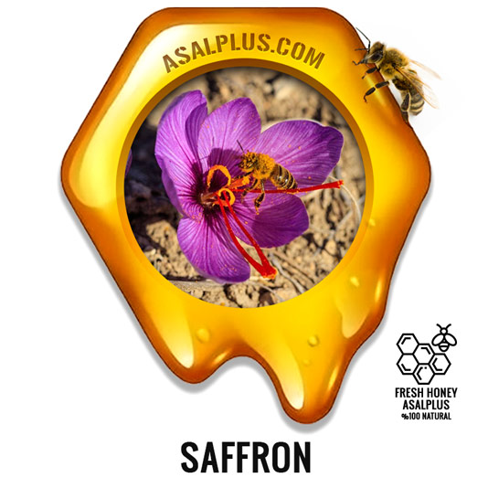 عسل-زعفران-saffron-honey-عسل-پلاس