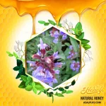 عسل مریم گلی - Image 2