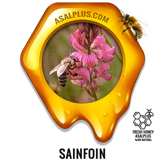 عسل-اسپرس-sainfoin-honey-عسل-پلاس