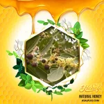 عسل کنار ایرانی - Image 2