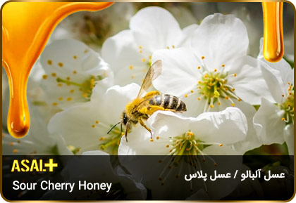 عسل-آلبالو-Sour-Cherry-honey-عسل-پلاس_04