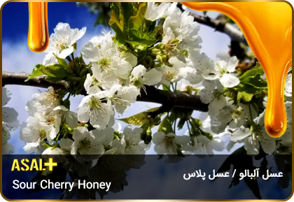 عسل-آلبالو-Sour-Cherry-honey-عسل-پلاس_06