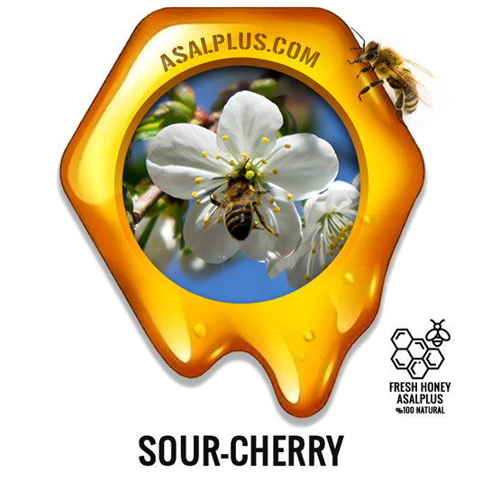 عسل-آلبالو-sour-cherry-honey-عسل-پلاس