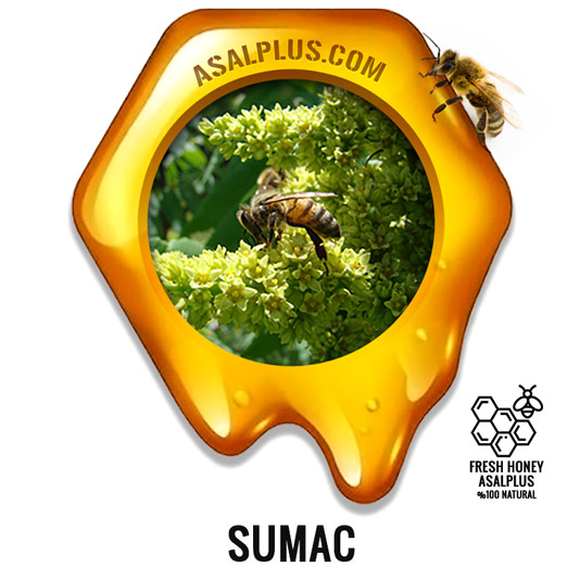 عسل-سماق-sumac-honey-عسل-پلاس