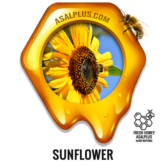 عسل-آفتابگردان-sunflower-honey-عسل-پلاس