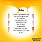 عسل گز - Image 5