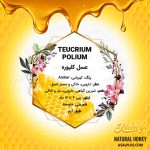 عسل کلپوره / عسل مریم نخودی - Image 4