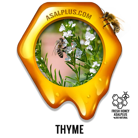 عسل-آویشن-thyme-honey-عسل-پلاس