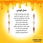 عسل آویشن - تصویر 5