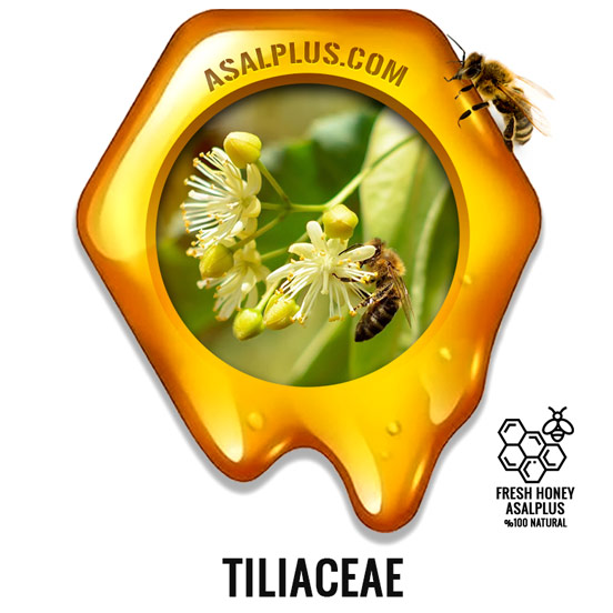 عسل-زیرفون-عسل-نمدار-Tiliaceae-honey