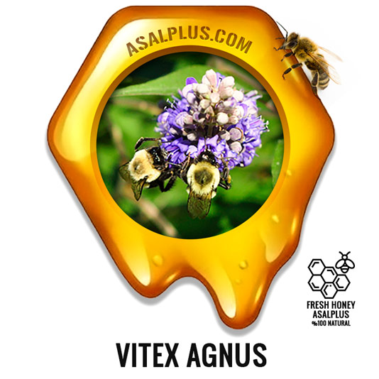 عسل-پنج-انگشت-vitex-agnus-castus-honey-عسل-پلاس