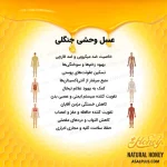 عسل وحشی جنگلی - Image 5