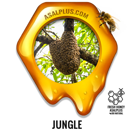 عسل-جنگلی-jungle-honey-عسل-پلاس