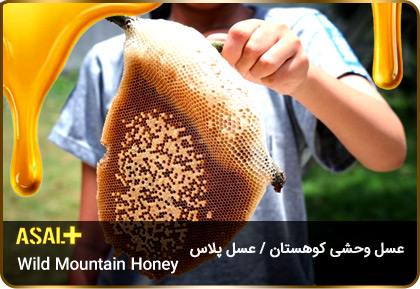 عسل-وحشی-کوهی-Wild-Mountain-Honey-عسل-پلاس_01