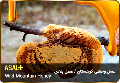 عسل-وحشی-کوهی-Wild-Mountain-Honey-عسل-پلاس_03