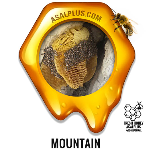 عسل-کوهی-mountain-honey-عسل-پلاس