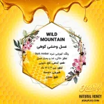 عسل وحشی کوهی - Image 4