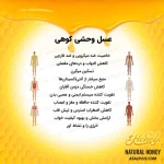 عسل وحشی کوهی - Image 5