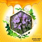 عسل کاکوتی کوهی - Image 2