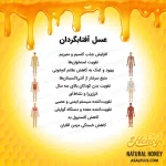 عسل آفتابگردان - Image 5