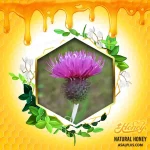 عسل زنجیرخار - Image 2