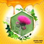 عسل زنجیرخار - Image 2