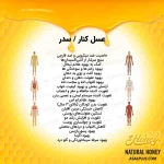 عسل کنار ایرانی - Image 7