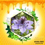 عسل سیاه دانه - Image 2