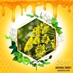 عسل شوید - Image 2